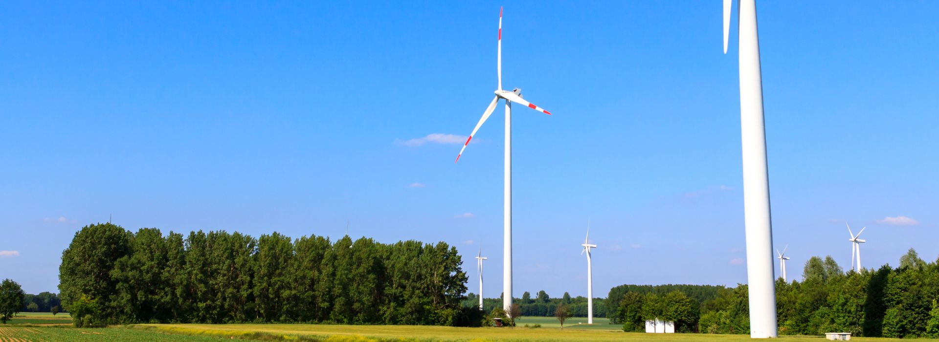 a wind farm in a field.